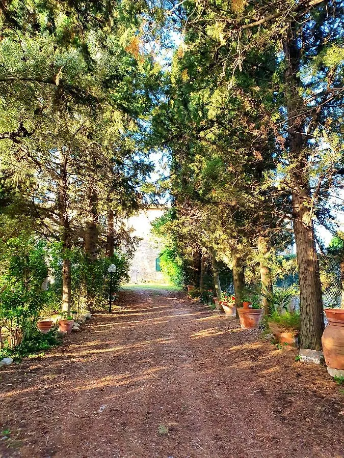 Residenza Santa Maria In Borraccia Bed & Breakfast Magliano in Toscana 0*,