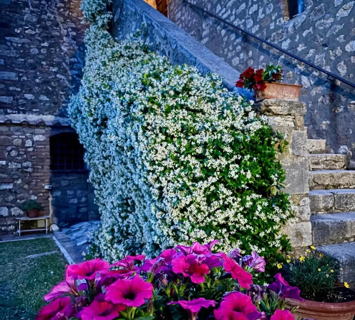 Residenza Santa Maria In Borraccia Bed & Breakfast Magliano in Toscana