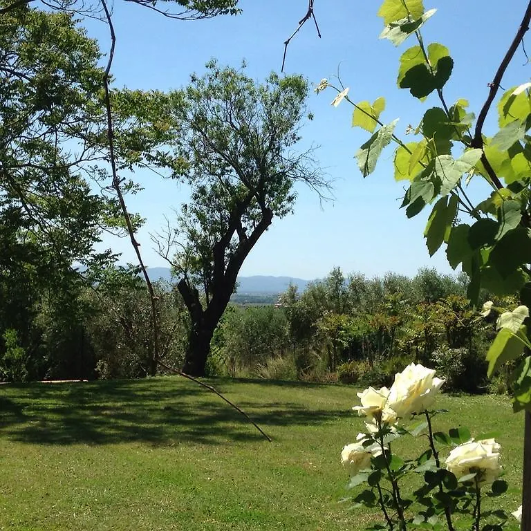 Residenza Santa Maria In Borraccia Bed & Breakfast Magliano in Toscana Italy