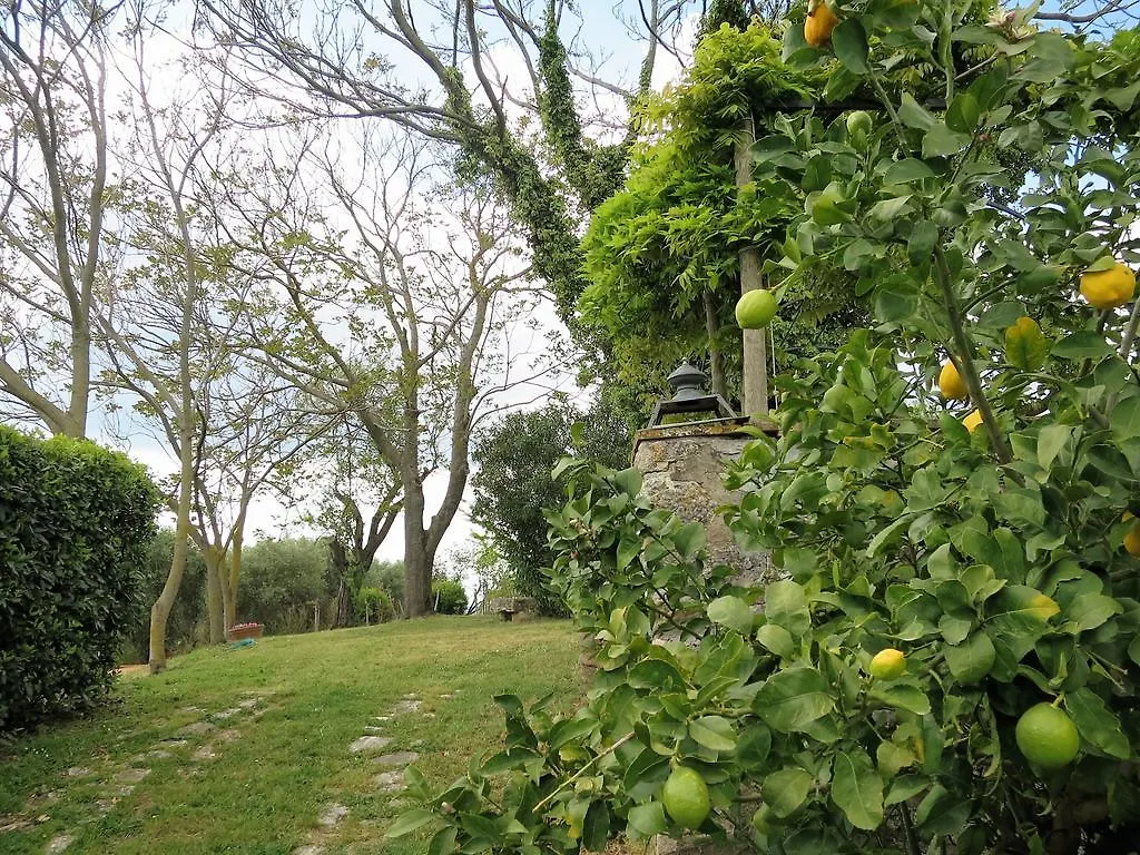 Residenza Santa Maria In Borraccia Bed & Breakfast Magliano in Toscana