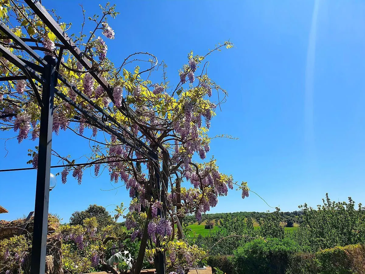 Residenza Santa Maria In Borraccia Bed & Breakfast Magliano in Toscana