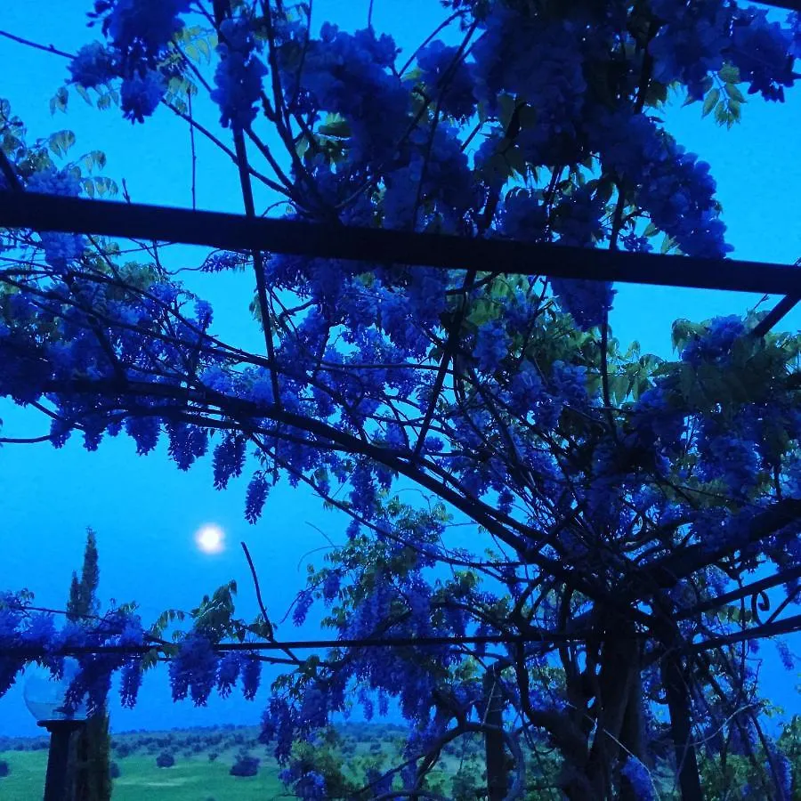 Residenza Santa Maria In Borraccia Bed & Breakfast Magliano in Toscana
