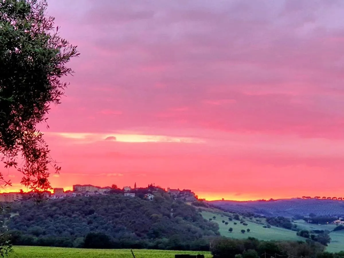 Residenza Santa Maria In Borraccia Bed & Breakfast Magliano in Toscana